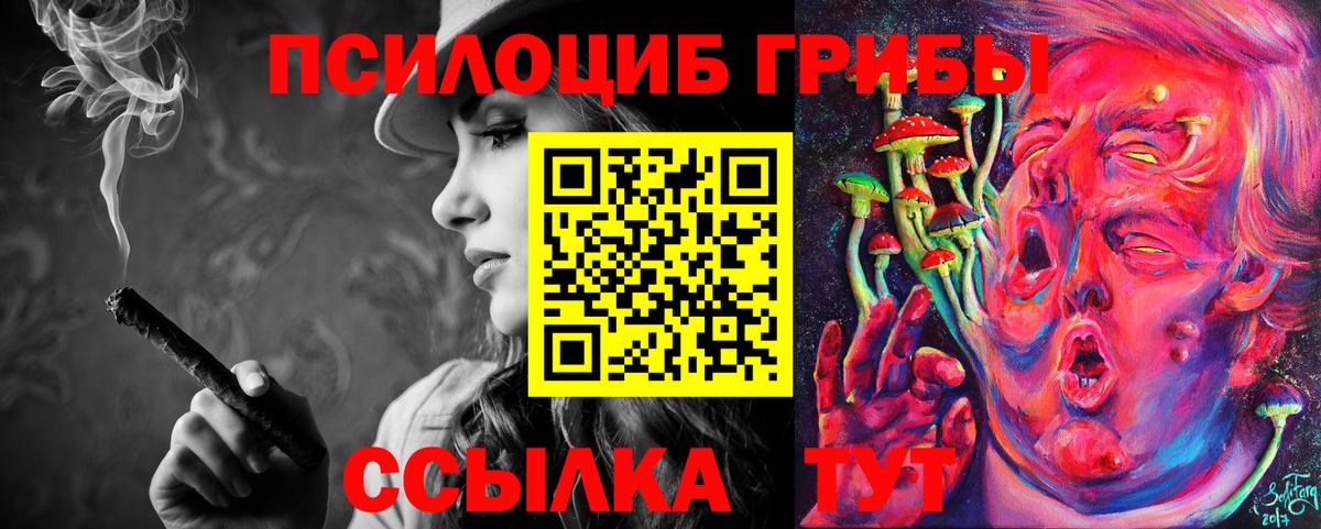 Псилоцибиновые грибы прущие грибы  Вход с VPN  Шали  Псилоцибиновые грибы ЛСД 